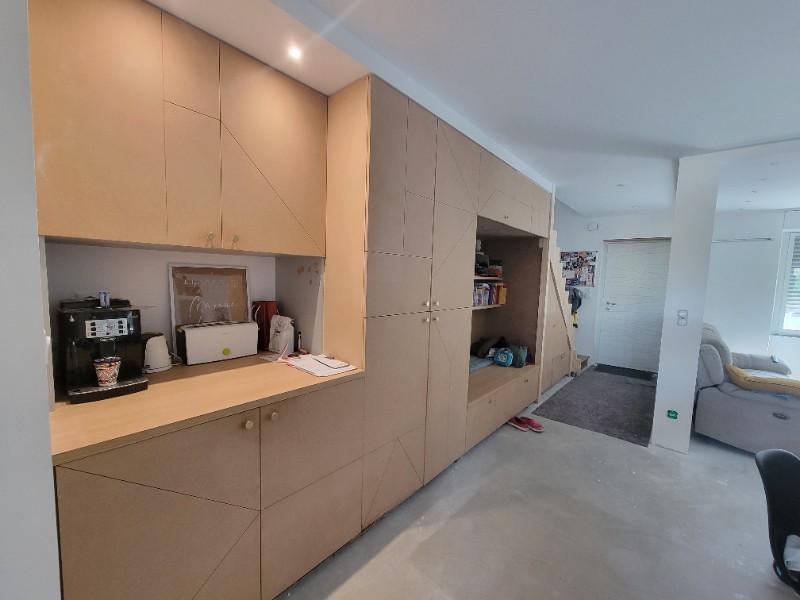 Placard d’entrée en vert foncé : une touche chic et naturelle