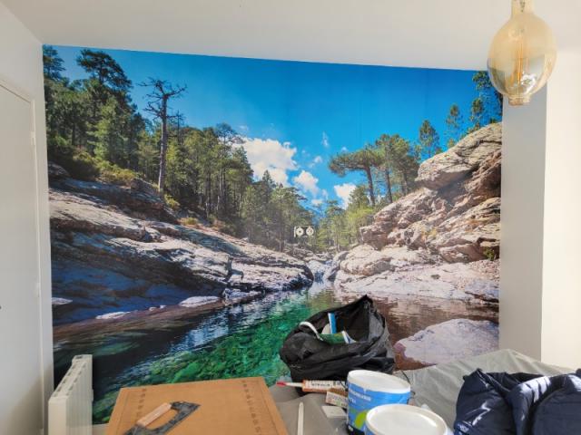 Avant / Après : une chambre lumineuse sublimée par un décor naturel