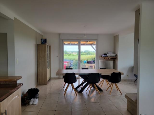 Séjour redessiné : touches d’argile douce pour structurer l’espace