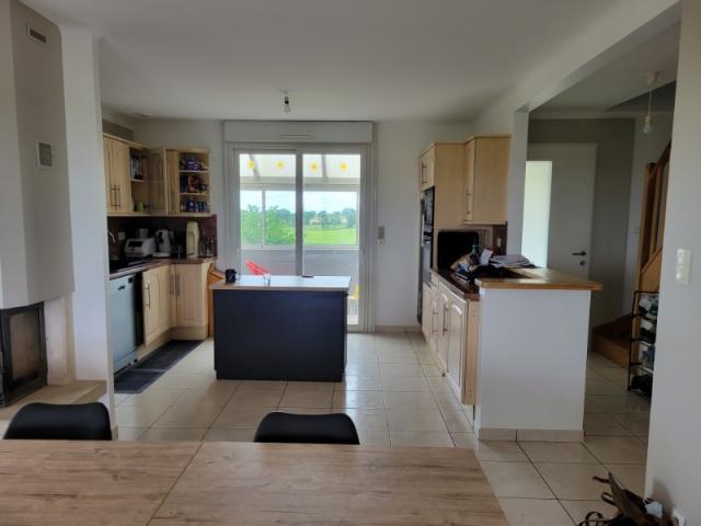 Cuisine rafraîchie : plafonds blancs et murs adoucis couleur sable chaud